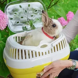 Guacal para Conejos